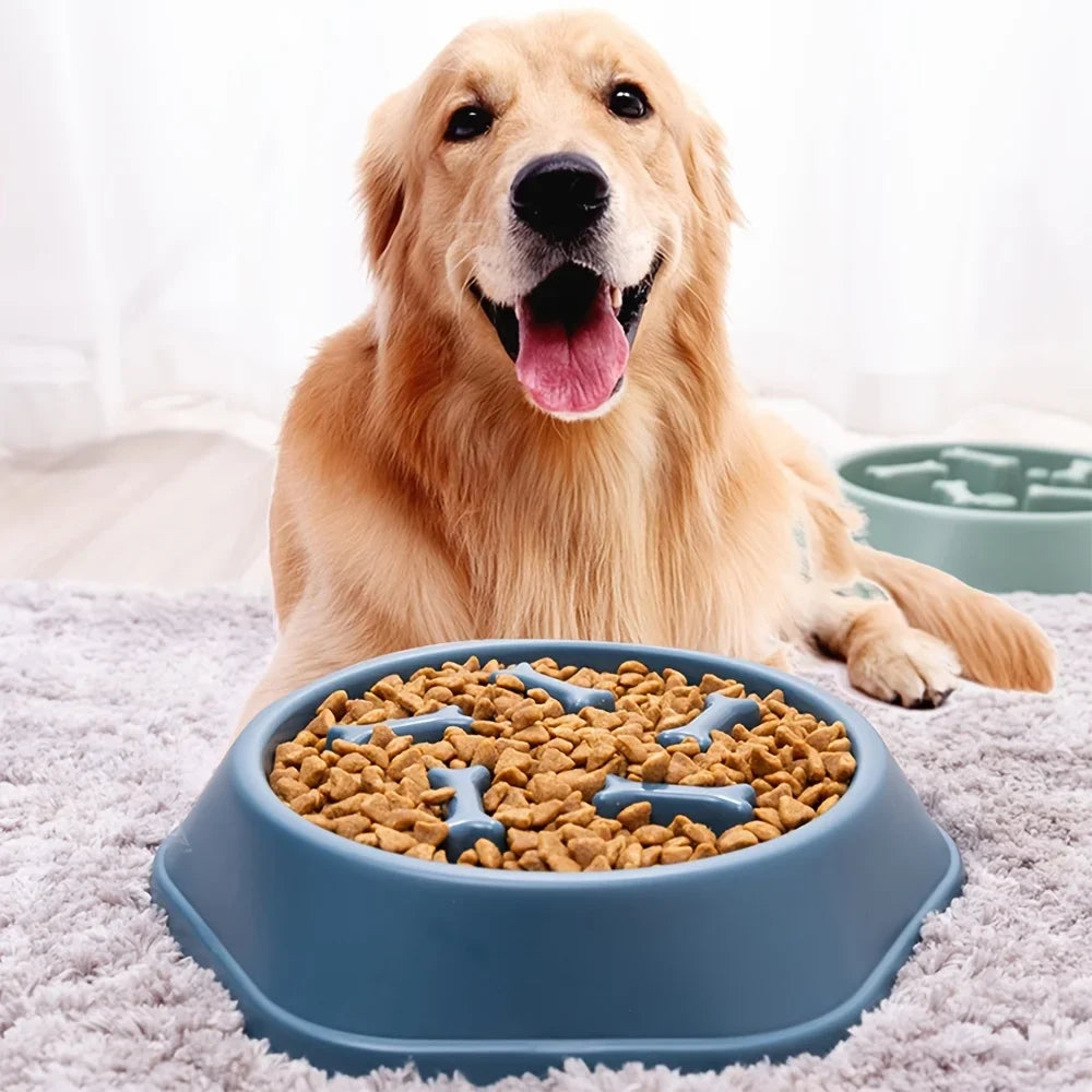 Comedor Lento Anti Atragantamiento para Perros y Gatos – Antideslizante y Gran Capacidad